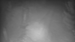 Bílá - běžecká trať