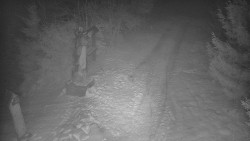 Bílá - běžecká trať