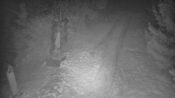 Bílá - běžecká trať