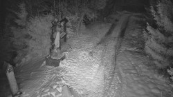 Bílá - běžecká trať