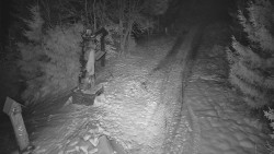 Bílá - běžecká trať