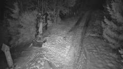 Bílá - běžecká trať