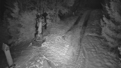 Bílá - běžecká trať