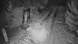 Bílá - běžecká trať