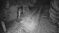 Bílá - běžecká trať