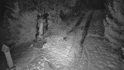 Bílá - běžecká trať