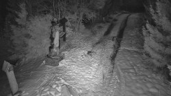 Bílá - běžecká trať