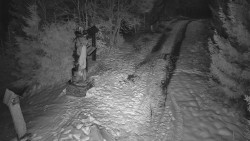 Bílá - běžecká trať