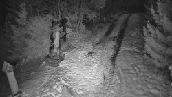 Bílá - běžecká trať