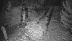 Bílá - běžecká trať