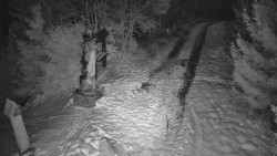 Bílá - běžecká trať