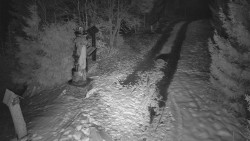 Bílá - běžecká trať