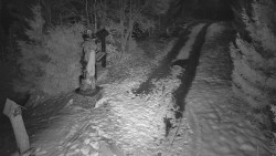 Bílá - běžecká trať