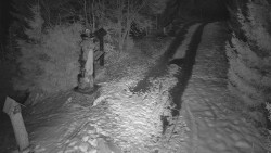 Bílá - běžecká trať