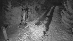 Bílá - běžecká trať