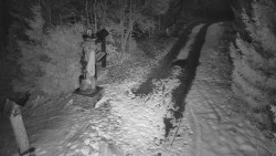 Bílá - běžecká trať