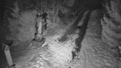 Bílá - běžecká trať