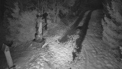 Bílá - běžecká trať