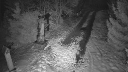 Bílá - běžecká trať