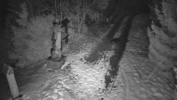 Bílá - běžecká trať