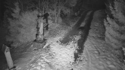 Bílá - běžecká trať