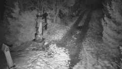 Bílá - běžecká trať