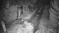 Bílá - běžecká trať