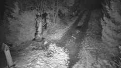 Bílá - běžecká trať