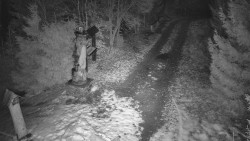 Bílá - běžecká trať