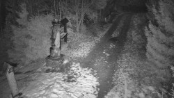 Bílá - běžecká trať