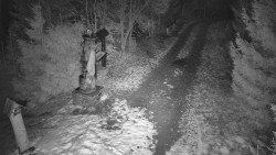 Bílá - běžecká trať