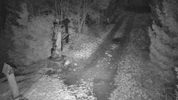 Bílá - běžecká trať