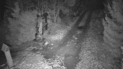 Bílá - běžecká trať