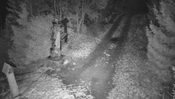 Bílá - běžecká trať