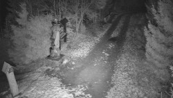 Bílá - běžecká trať