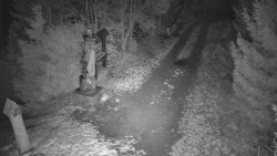 Bílá - běžecká trať