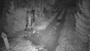 Skiareál Bílá - Bílá - běžecká trať - 7.12.2025 v 00:30 Skiareál Bílá - Bílá - běžecká trať - 7.12.2025 v 00:30