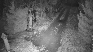 Skiareál Bílá - Bílá - běžecká trať - 7.12.2025 v 01:00 Skiareál Bílá - Bílá - běžecká trať - 7.12.2025 v 01:00