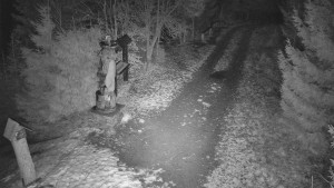 Skiareál Bílá - Bílá - běžecká trať - 7.12.2025 v 04:00 Skiareál Bílá - Bílá - běžecká trať - 7.12.2025 v 04:00