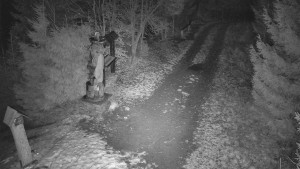 Skiareál Bílá - Bílá - běžecká trať - 7.12.2025 v 04:30 Skiareál Bílá - Bílá - běžecká trať - 7.12.2025 v 04:30