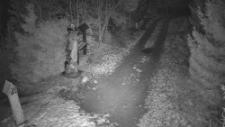 Bílá - běžecká trať