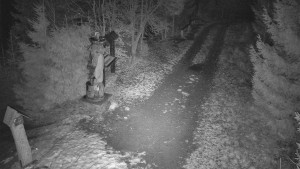 Skiareál Bílá - Bílá - běžecká trať - 7.12.2025 v 06:00 Skiareál Bílá - Bílá - běžecká trať - 7.12.2025 v 06:00