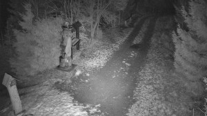 Skiareál Bílá - Bílá - běžecká trať - 7.12.2025 v 06:30 Skiareál Bílá - Bílá - běžecká trať - 7.12.2025 v 06:30