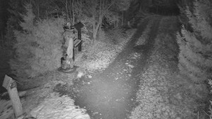 Skiareál Bílá - Bílá - běžecká trať - 7.12.2025 v 16:30 Skiareál Bílá - Bílá - běžecká trať - 7.12.2025 v 16:30