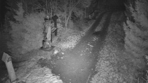 Skiareál Bílá - Bílá - běžecká trať - 7.12.2025 v 22:30 Skiareál Bílá - Bílá - běžecká trať - 7.12.2025 v 22:30