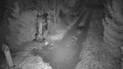 Bílá - běžecká trať