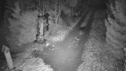 Bílá - běžecká trať