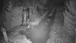 Bílá - běžecká trať