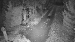 Bílá - běžecká trať