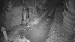 Bílá - běžecká trať